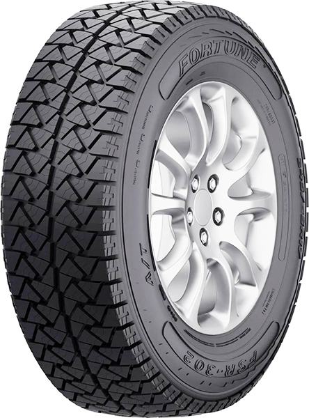 fortune-fsr302
